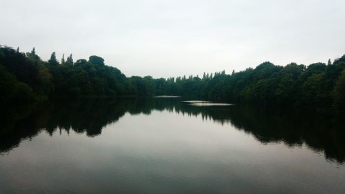 Scenic view of lake in forest against sky