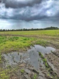 Scenic view of field against sky