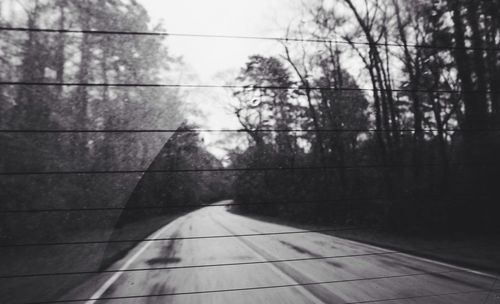 Road passing through forest