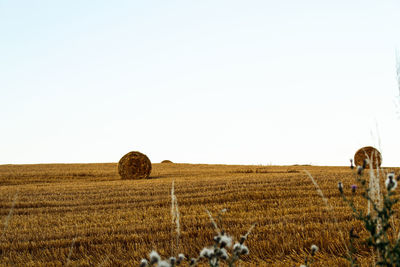 View of hay bales in field