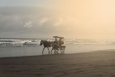 Horse cart at beach against sky during sunset