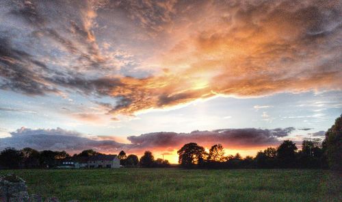Scenic view of field against sky at sunset