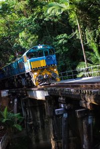 Train amidst trees by plants