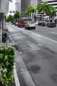 View of city street