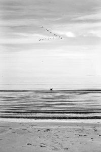 Birds flying over sea against sky