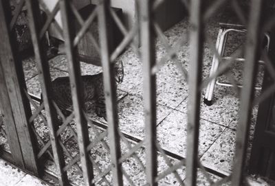 Close-up of cat on metal grate