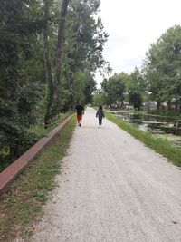 Rear view of people walking on road along trees