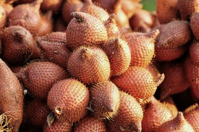 Tropical fruit salak, sweet and sour taste, tasty and beneficial to the body