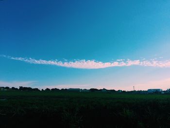 Scenic view of field against blue sky