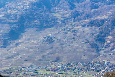High angle view of agricultural field