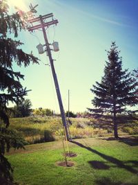 Scenic view of grassy field against sky
