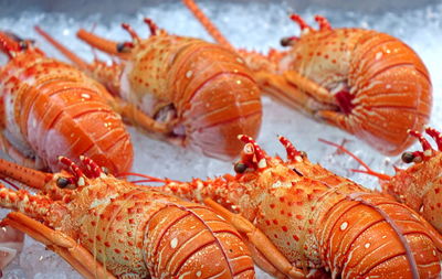 Close-up of orange for sale in market