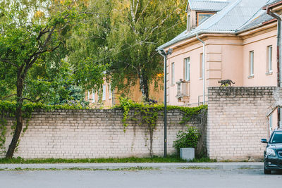 Trees and plants growing outside house