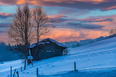 Bare trees on snow covered landscape against sky during sunset