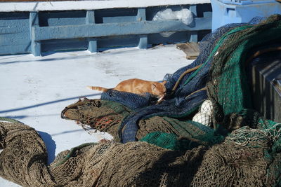 View of an fishing net