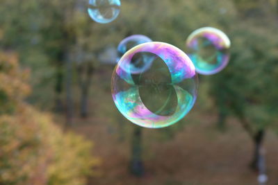 Close-up of bubbles