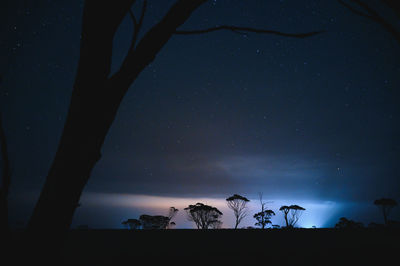 Low angle view of silhouette trees against sky at night