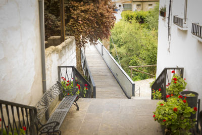 Potted plants on staircase of building