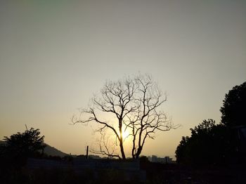 Silhouette bare tree against clear sky