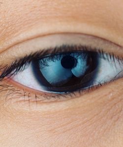 Close-up of human eye