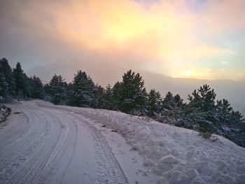 Road amidst trees against sky during winter