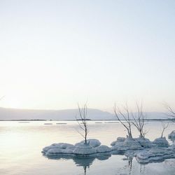 Scenic view of frozen sea against clear sky