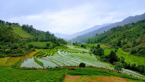 Scenic view of field against sky