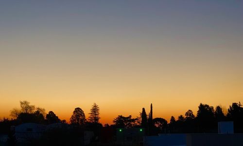 Silhouette trees against sky during sunset