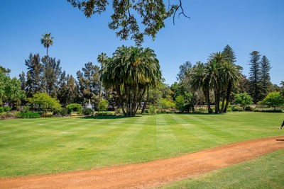 Scenic view of golf course against clear sky