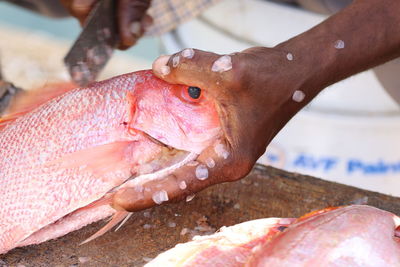 Cropped hand of man cutting fish at market