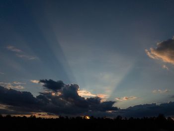 Low angle view of silhouette trees against sky during sunset