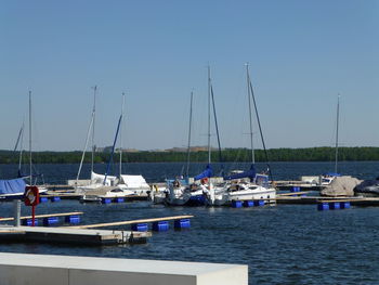 Sailboats moored in harbor