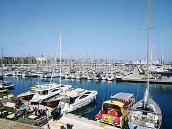 Sailboats moored in harbor