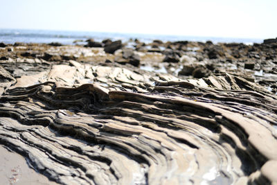 Surface level of rocks on beach