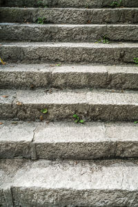 Close-up of bird on steps