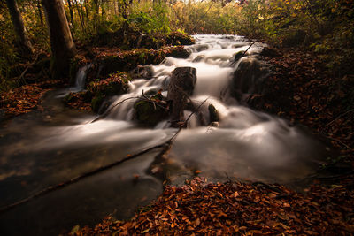 View of waterfall in forest