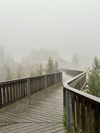 fog