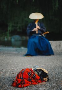 Close-up of dog and man sitting on road