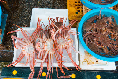 High angle view of fish for sale at market stall