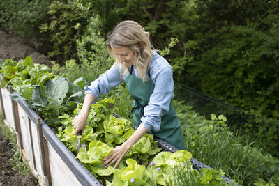 Full length of woman holding ice cream in farm