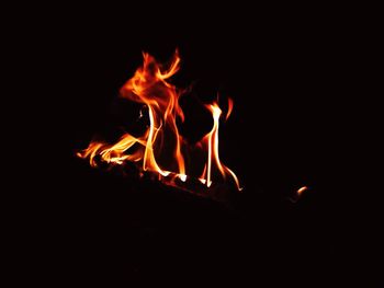 Close-up of burning firewood in dark