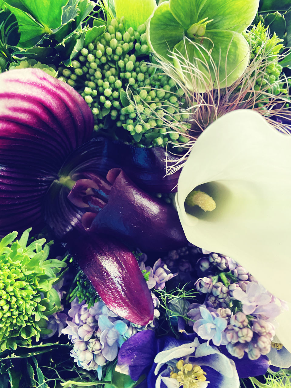 CLOSE-UP OF PURPLE FLOWERING PLANTS