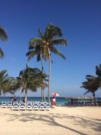 Palm trees on beach against clear blue sky