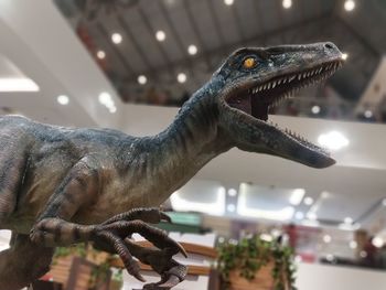 Close-up of a statue