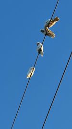 Low angle view of street light against clear blue sky