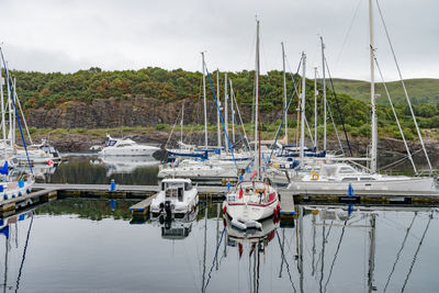 Sailboats moored in harbor against sky