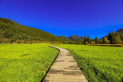 Scenery along the wuling farm landscape trail in taichung, taiwan