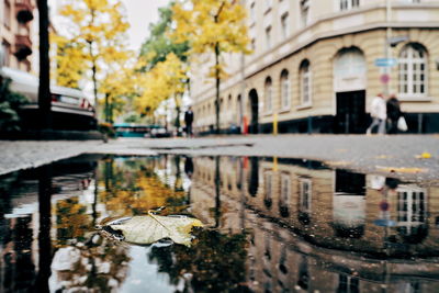 Reflection of buildings in puddle on street