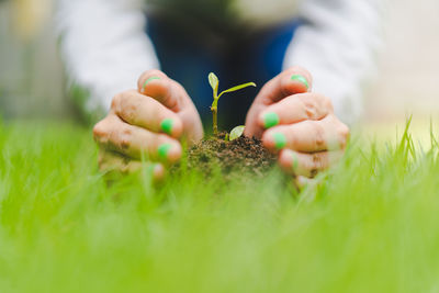 Close-up of hand holding plant on field