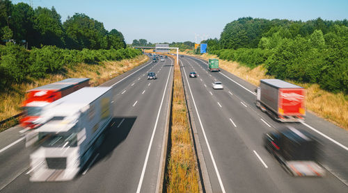 Vehicles on road along trees